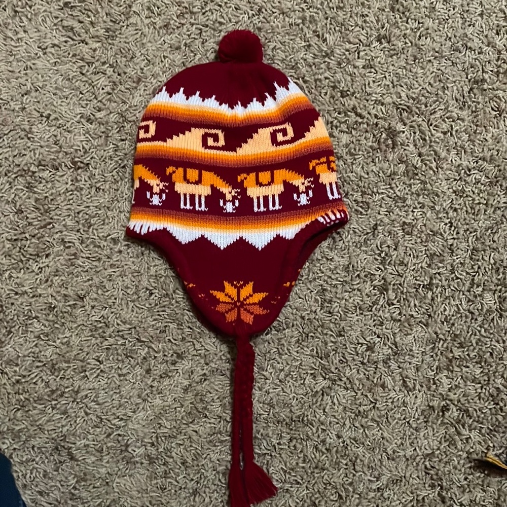 Peruvian Beanie